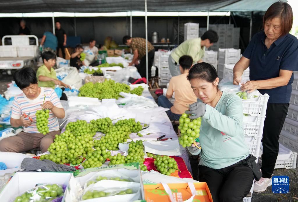 太阳集团官网